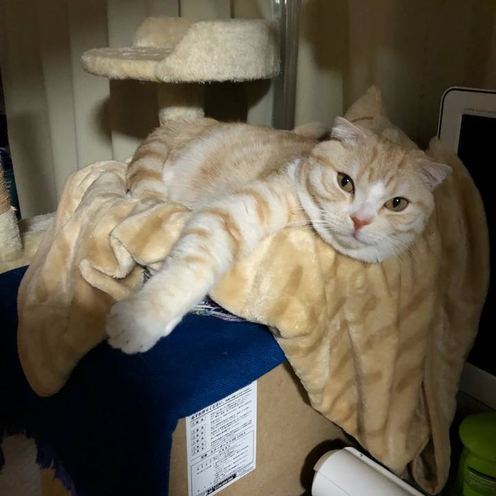 D9f5f4dc 5cd8 444e ab5c a786e1f61990 1549213214324