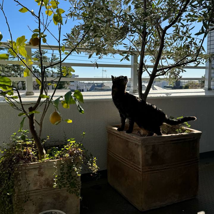 D9f5faa2 cb49 4f0f 9841 4d5e9de5d49d 1768612693897