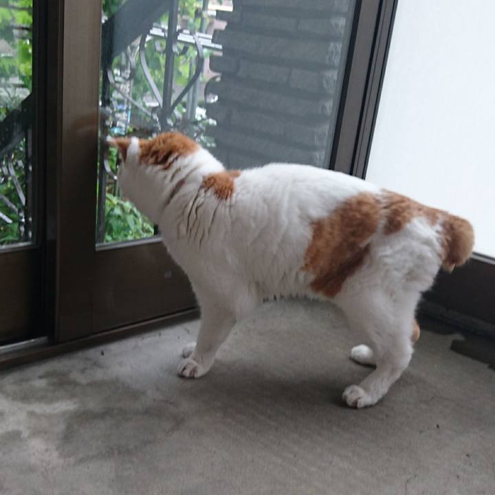 D9f60655 e3cd 4ac3 80e9 c85a29d152fd 1534329260663