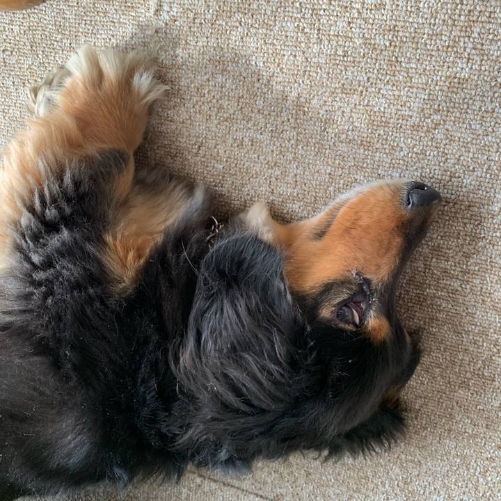 D9f60767 4ddb 42c6 bedc aab7eea98208 1558133541024