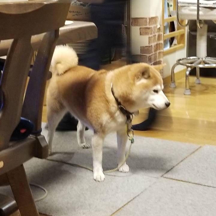 D9f63f58 264b 430d a00e 52691d42f42c 1636015126611