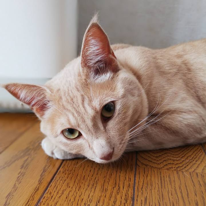 D9f664e7 2610 4c57 95fc de2d0725e22e 1565048381444