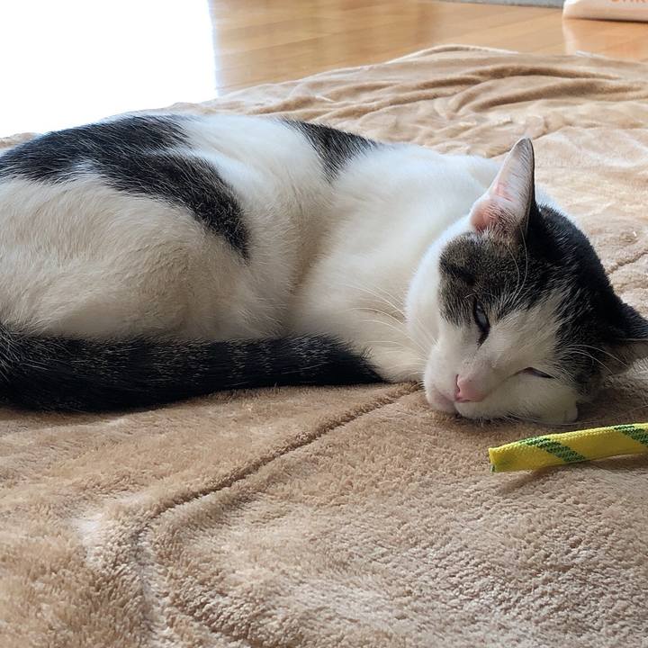 D9f66f91 b31b 41b9 81f9 b9799a9efa30 1607682875868