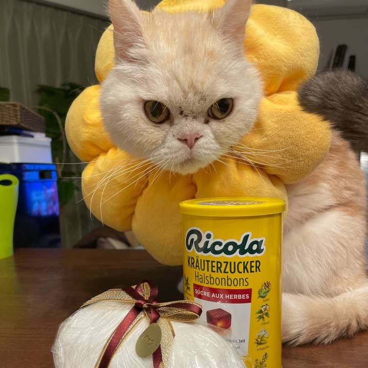 D9f6b528 88a1 4b30 9608 a3e7c137b923 1765113125823