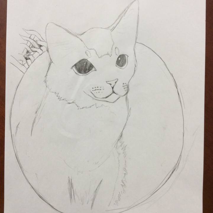 D9f7345d 7dd6 4b4f 9e71 aebc0bc3c0d1 1574085274844