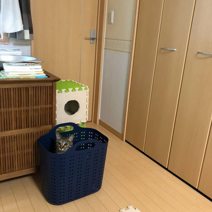 D9f77967 3f7d 4ba8 8244 066ed27f8c09 1528632808903