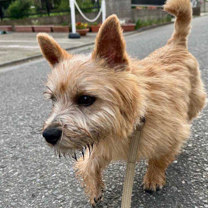 D9f78756 261e 4d73 bb14 f9ed80e24944 1713241840201