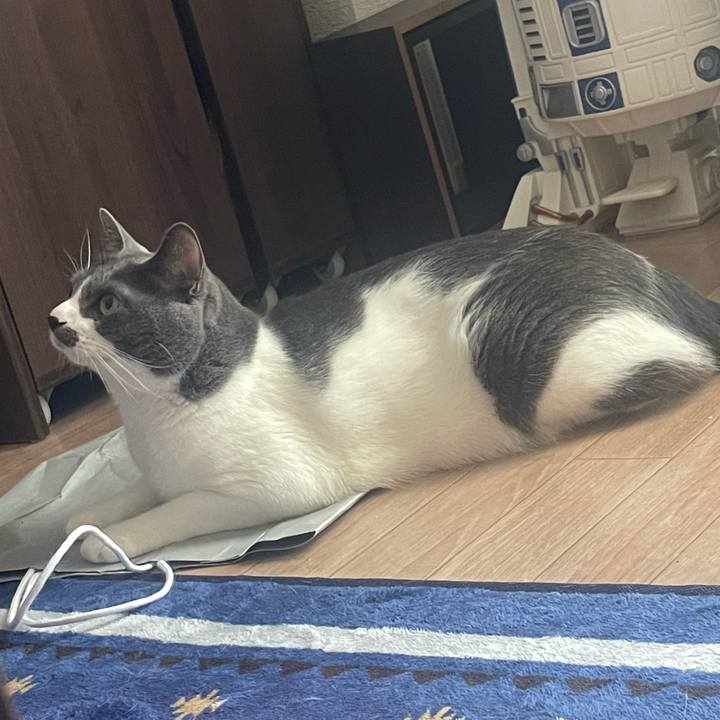 D9f795c2 e1ef 4fcb 808b 99d4b0366162 1628204992812