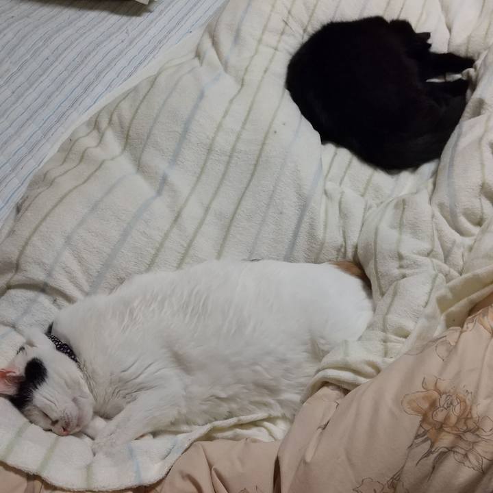 D9f79e6a fdbb 4f0c 92a9 016abe159370 1602094299373