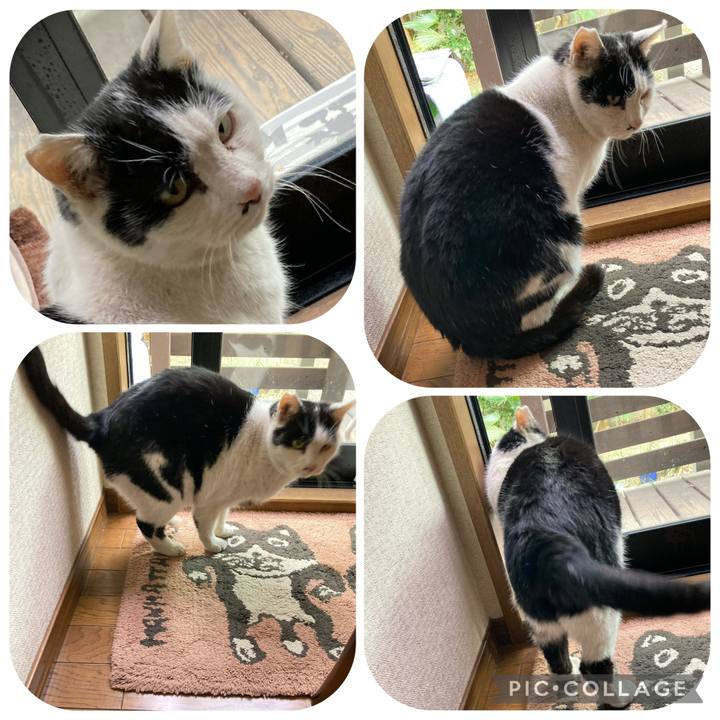 D9f7b57a ec3f 482c aab4 d8a6b5f5e9b8 1769314358821