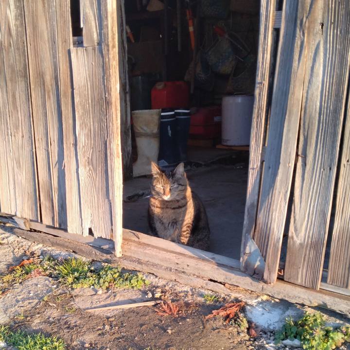 D9f7b5a4 25f5 4f68 a5a2 e08f9d456178 1678920367962