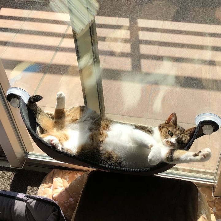 D9f7d63f e7e0 421d a2fd 898e618a04d4 1637605728165