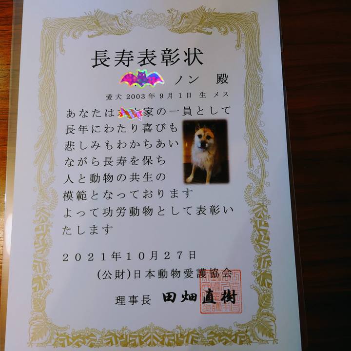 D9f7e081 e11c 484f 90b5 0b50ece15919 1635475504659