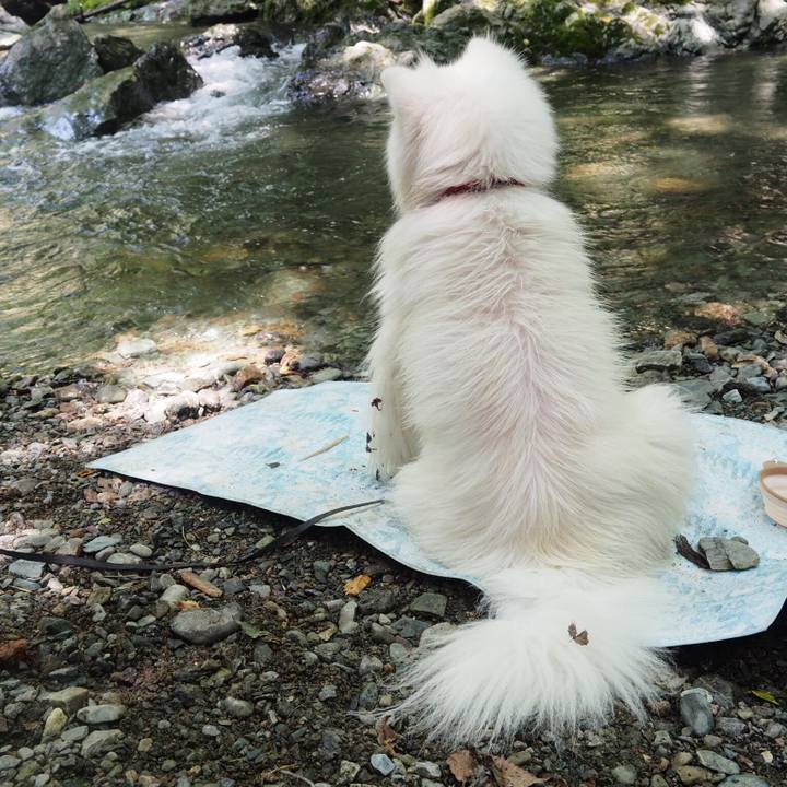 D9f7fef3 050a 4264 a42e b927d2db47eb 1531570967991