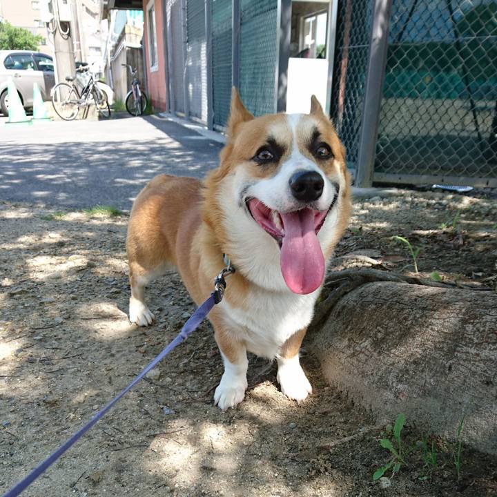 D9f8299a d50e 4432 83d7 30b3641dae77 1594860455701