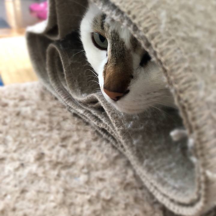 D9f860c7 ade9 4615 9d65 d415d51ba6b0 1521121129163