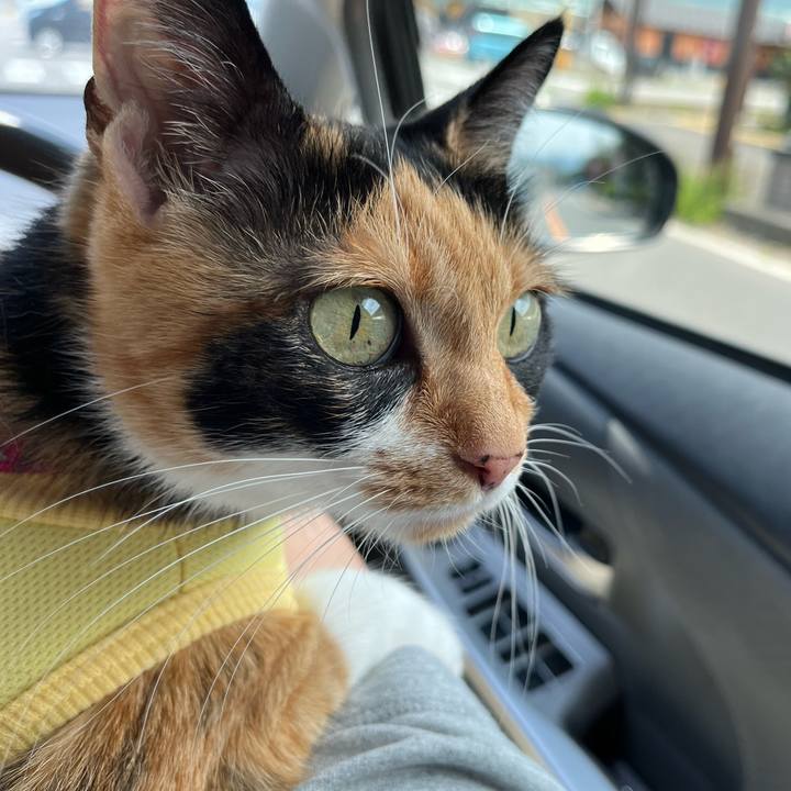 D9f864f6 c227 4d62 a9e1 831f83069218 1657854089104