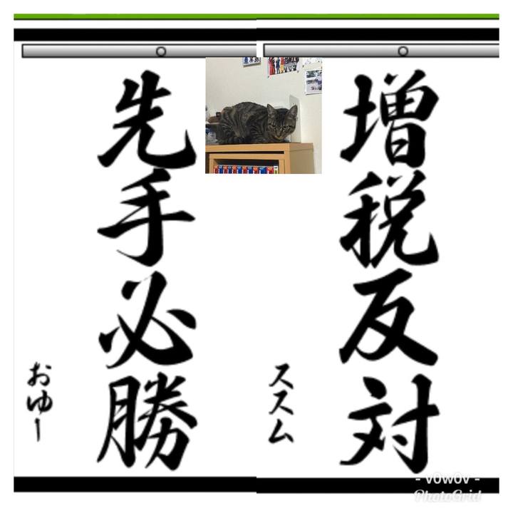 D9f88e92 3b27 4cba 9f6f 35fb25d3a61d 1546430974130