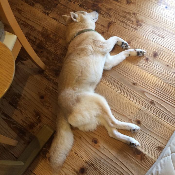 D9f88f4f d6eb 4919 a547 972852d3cb2f 1563695250589