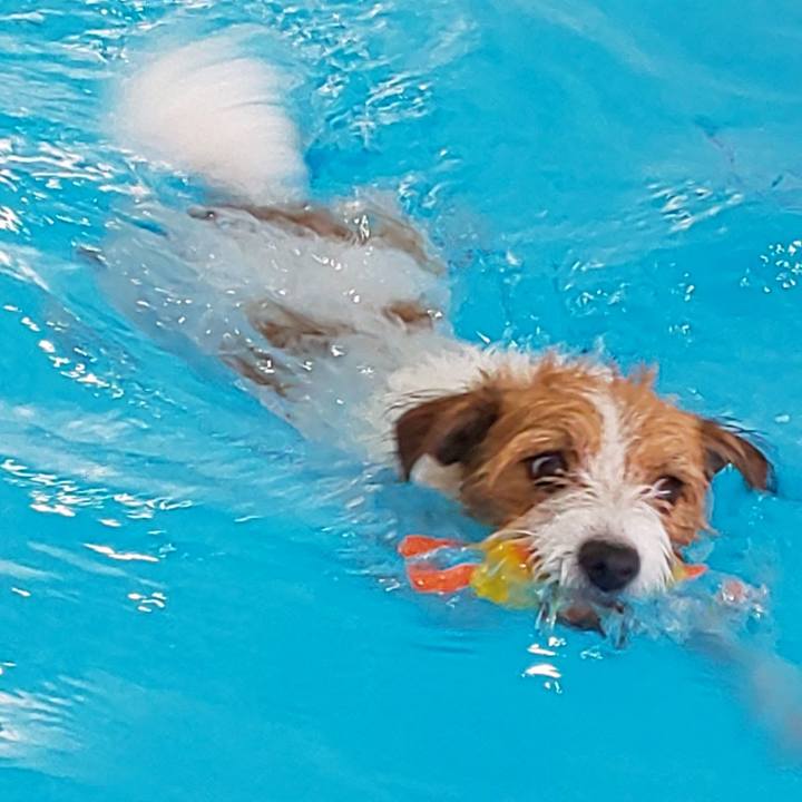 D9f8bc5b 5349 4946 b914 e82db0d51ce6 1597459146908