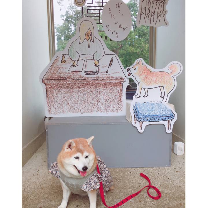 D9f8c4cf a1ca 4224 a927 08b9e94bb0cf 1572079467794