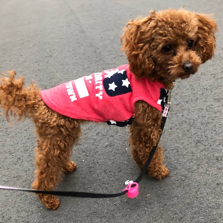 D9f8ce87 15fc 4249 9a6d f279c716b59a 1519597433063