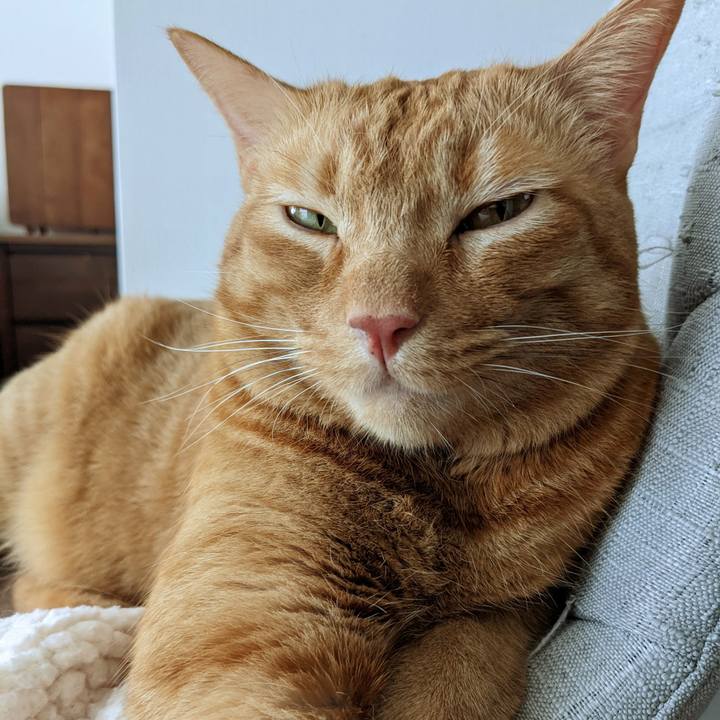 D9f8d829 8a5f 4b3e ad79 f4c7b4cef06a 1658372869671