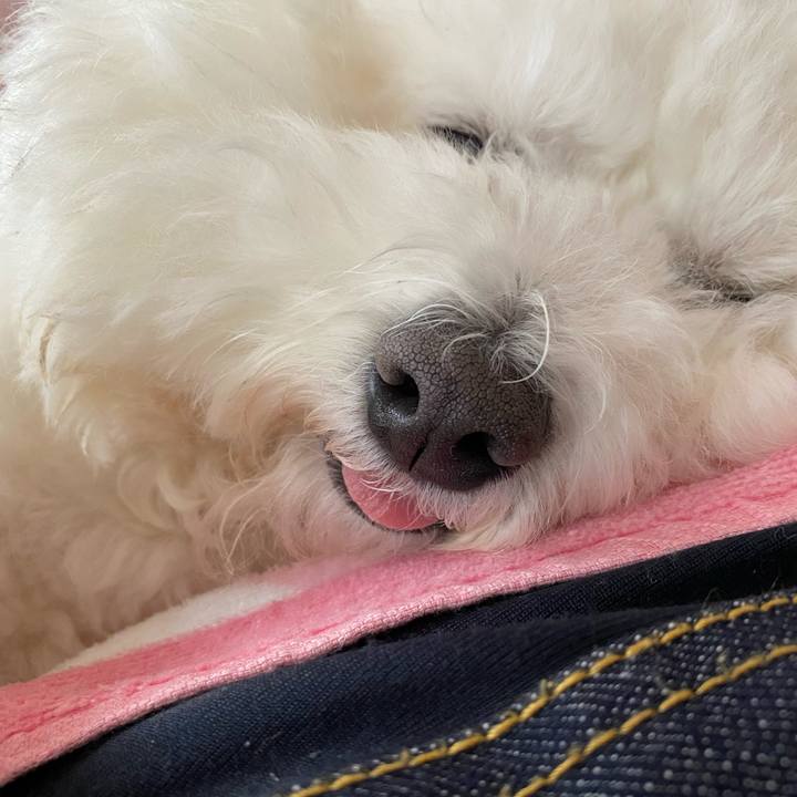 D9f941b4 1526 4e31 a1a8 9802e4956b58 1611899595790