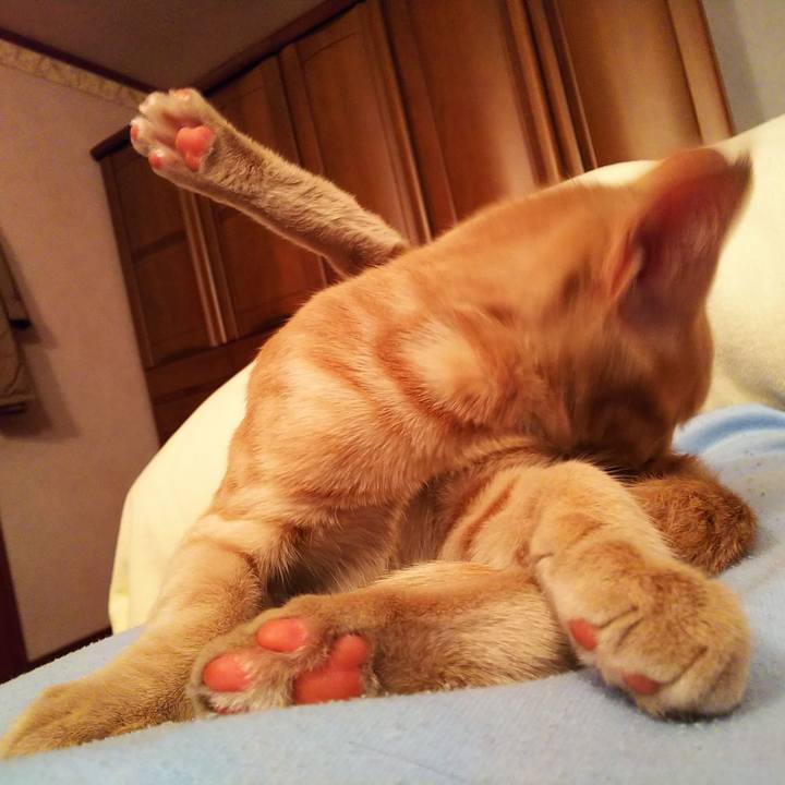 D9f94759 5f15 4dd7 83c3 7706a6d04426 1543498398862