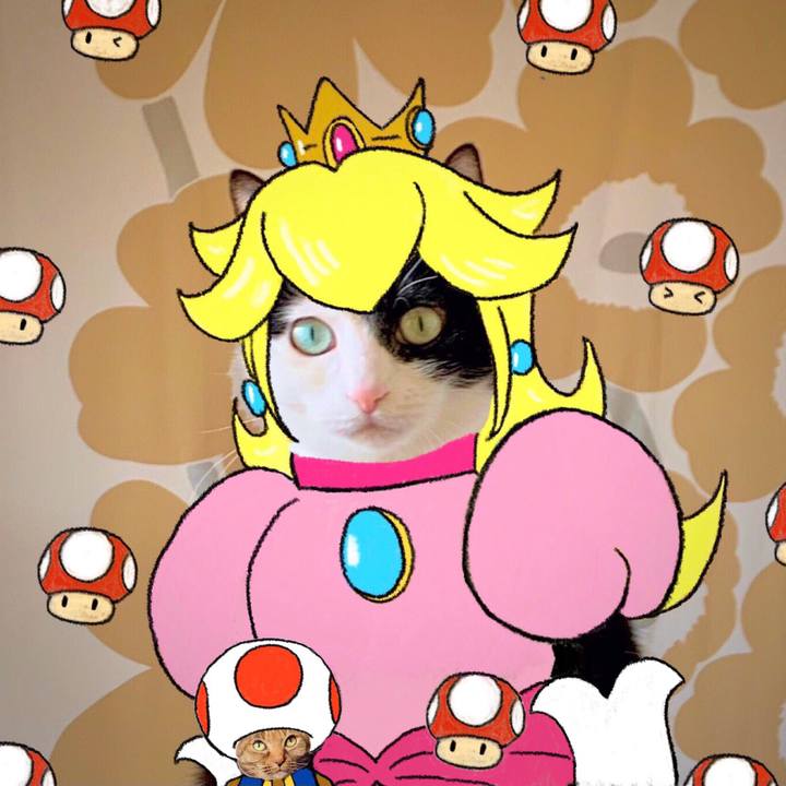 D9f958ee 93f4 440e 99f4 ee8112f2a4b4 1686712254553