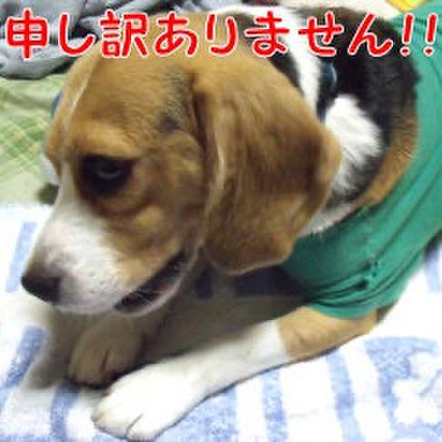 D9f9deed 92c0 4248 8971 849d724a1dfe 1724122526506