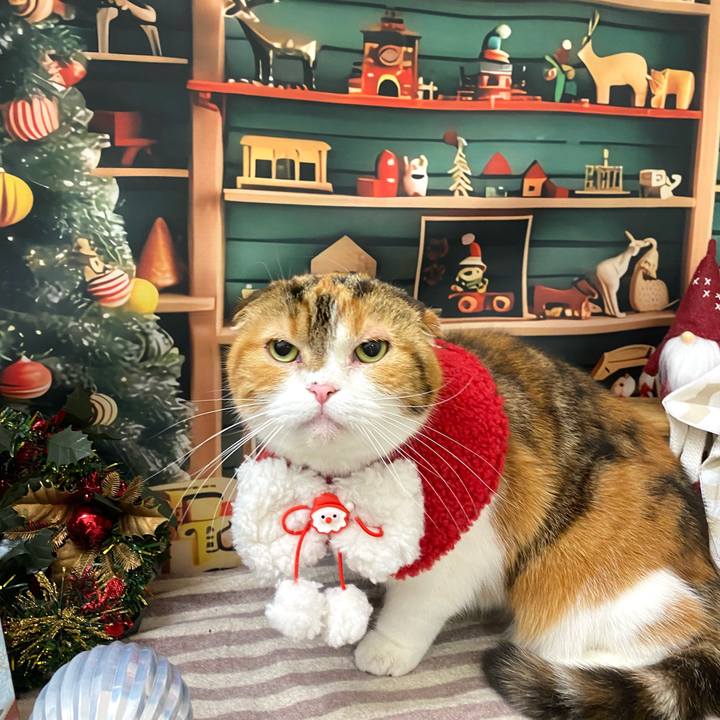 D9fa0c9e f12d 4f0d 8a8c da7acbf64d8e 1766141800318