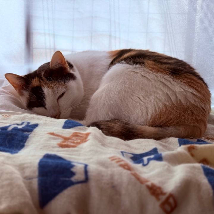 D9fa2708 d021 4600 a72f d99d34d28358 1727228195639