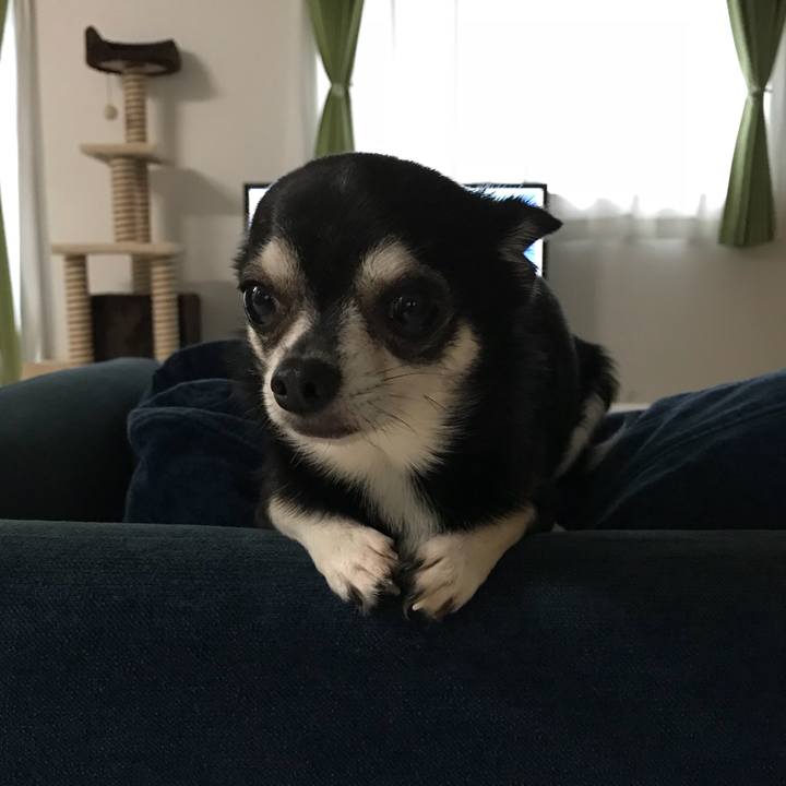 D9fa28f2 b2a8 49ed b305 8fdce47d8935 1537405374162