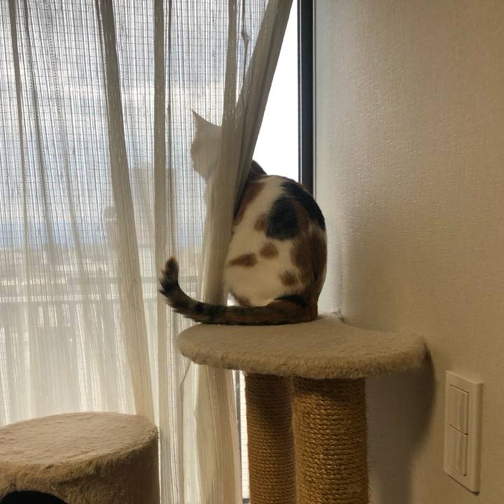 D9fa41f7 78ab 4933 825e 8a91c18e6566 1602401769748