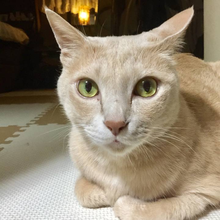 D9fa5c3f ceaf 472b ab86 5db6deeaf986 1595072298210