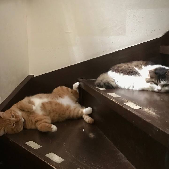 D9fa8282 dc5c 4058 b144 4f3b82f47adb 1626966123096