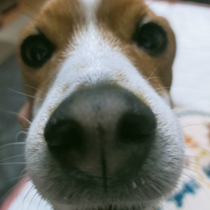 D9fa8290 e773 4c26 a263 c118664ab1a9 1770280972839