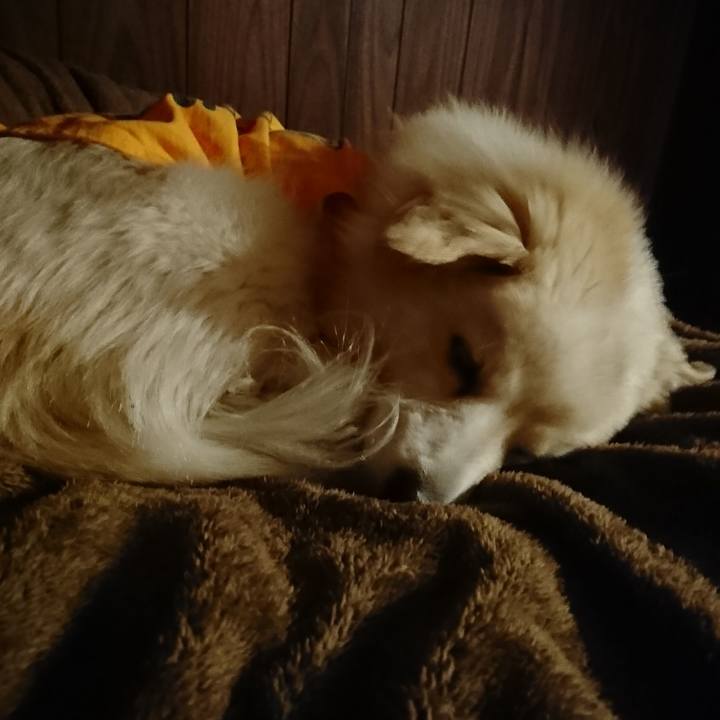 D9faafbf 742a 4838 83db 201e6a82293a 1549660742527