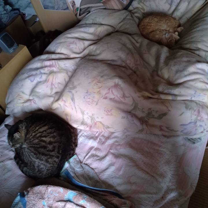 D9facaa6 2b6a 4270 b1cd 0a0443e778c2 1685745285921