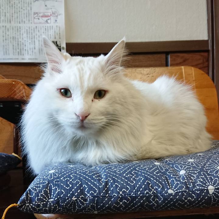 D9fb2313 39f5 431b ba0a 1552a7212a91 1519943005061