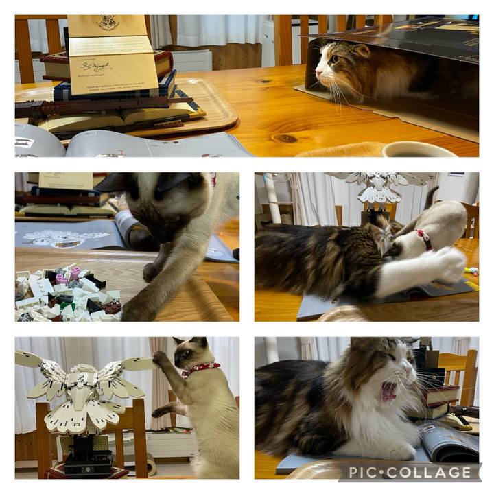 D9fb2dc3 2c9b 4e7f b8eb da46e91aebd7 1703319879233