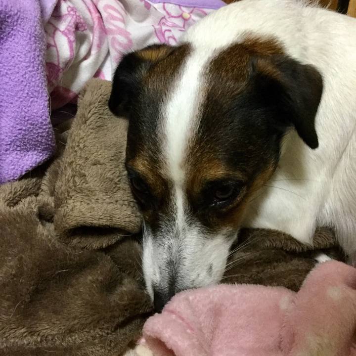 D9fb3d6b 7c04 4070 9cc1 011961477558 1543049683606