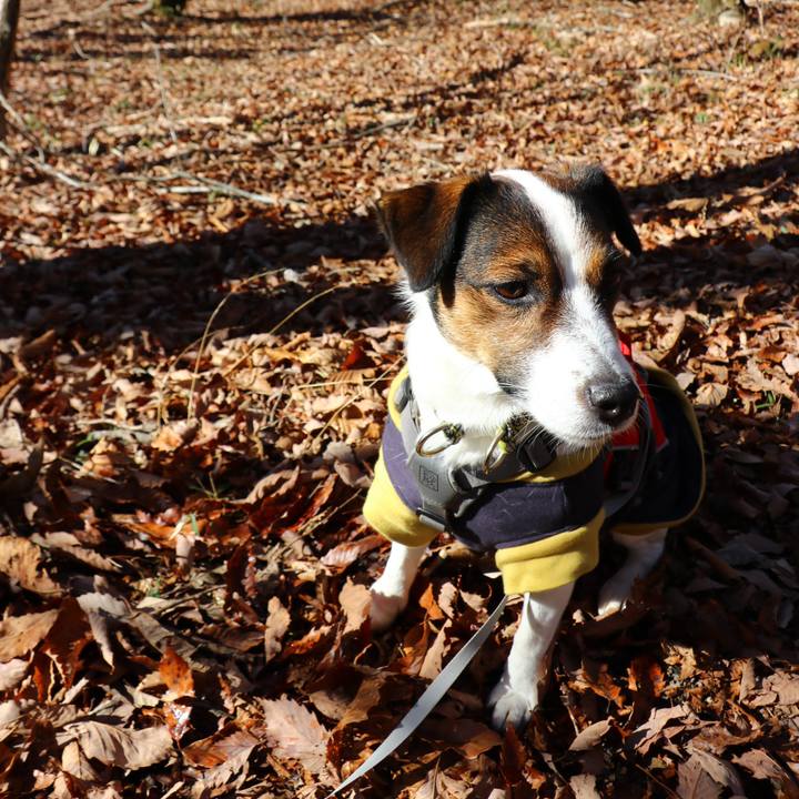 D9fb678b 22ce 4812 813c 62dbe073aa7b 1545633459673