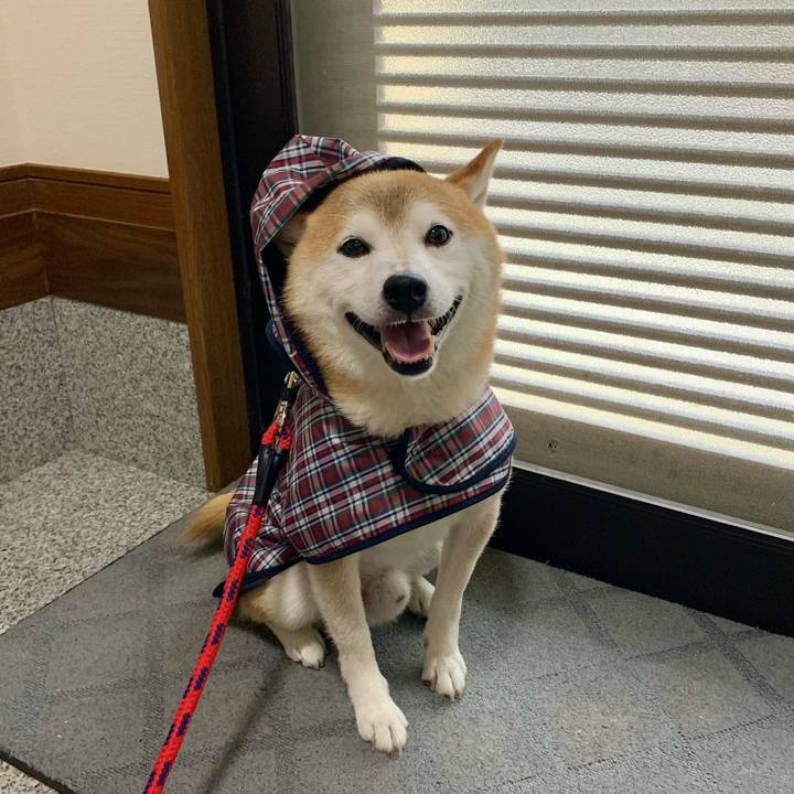 D9fb71c2 28ca 47ba 9ac5 86f9580b60fd 1692267751314