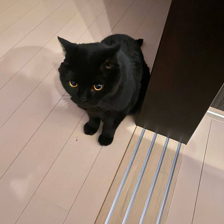 D9fc19f5 633d 4536 aa77 df3dd24f5d01 1718888246758