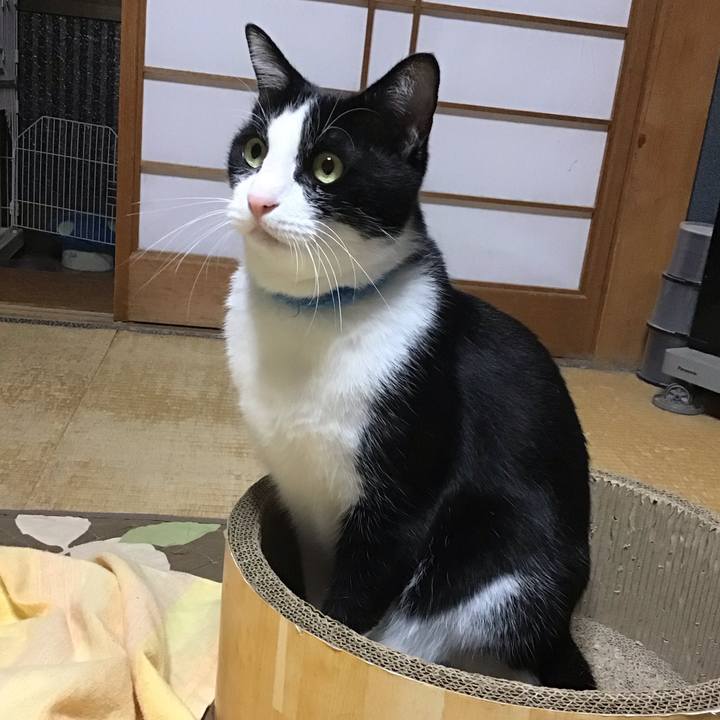 D9fc3785 e300 42bd a206 e849b42192bb 1762511235474