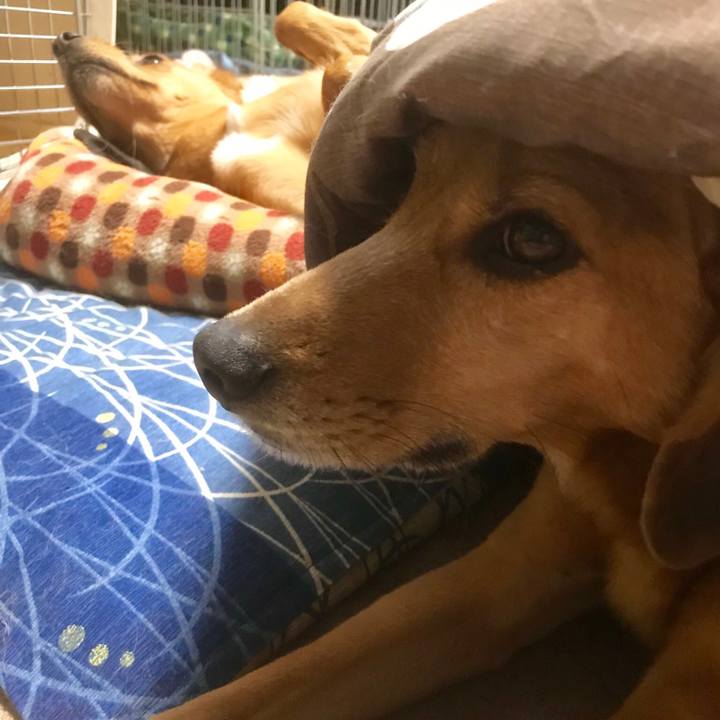 D9fc57ad b51d 493e 9779 e3d227579191 1543135607894