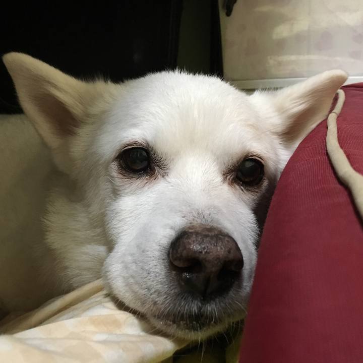 D9fc5bc7 830f 4646 9d73 b8fbc76027dd 1523836872173