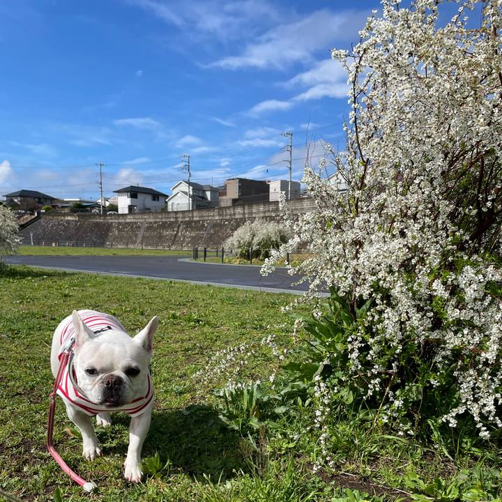 D9fc94a5 8778 44d9 b64b d126cca575ce 1743123106862